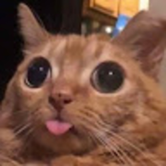 kvngt0z